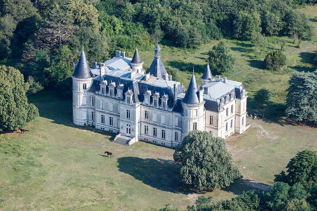 France, Indre, Mezieres en Brenne, Beauregard castle (aerial view)