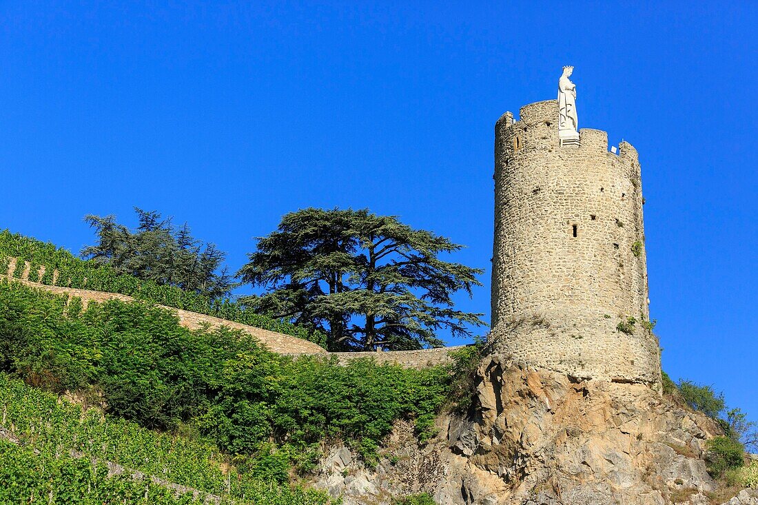 Frankreich, Ardeche, Tournon sur Rhone, die Jungfrau vom Turm (neunzehnte)