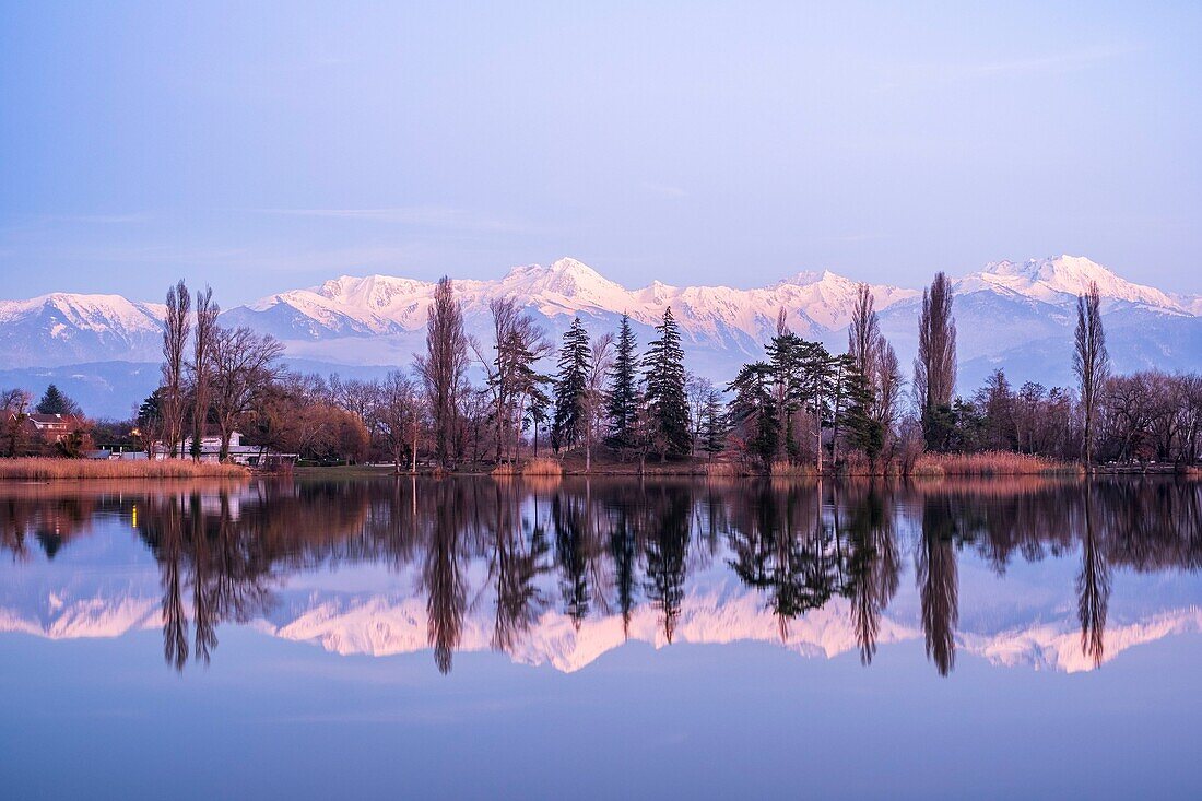 Frankreich, Savoyen, Les Marches, der See Saint André inmitten der Weinberge der Combe de Savoie, im Hintergrund die schneebedeckte Belledonne-Kette