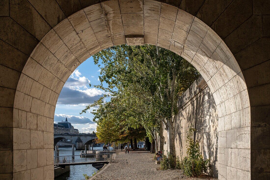 France, Paris, banks river listed as World Heritage by UNESCO, François Mitterrand quay, Rives de Seine Park