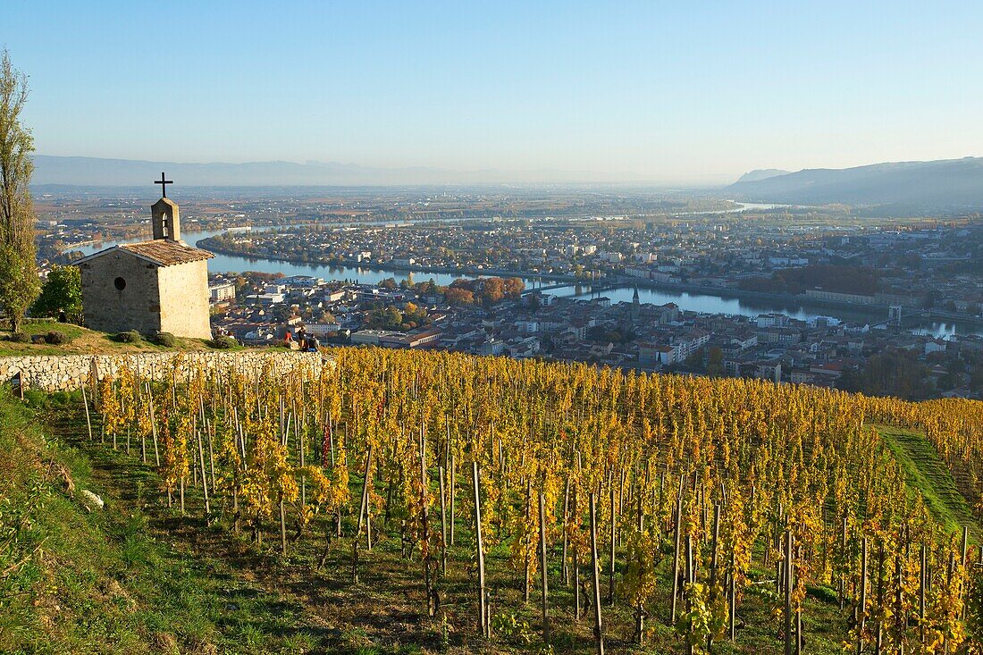 France, Drome, Tain l'Hermitage, vineyard AOC Hermitage and the Rhone