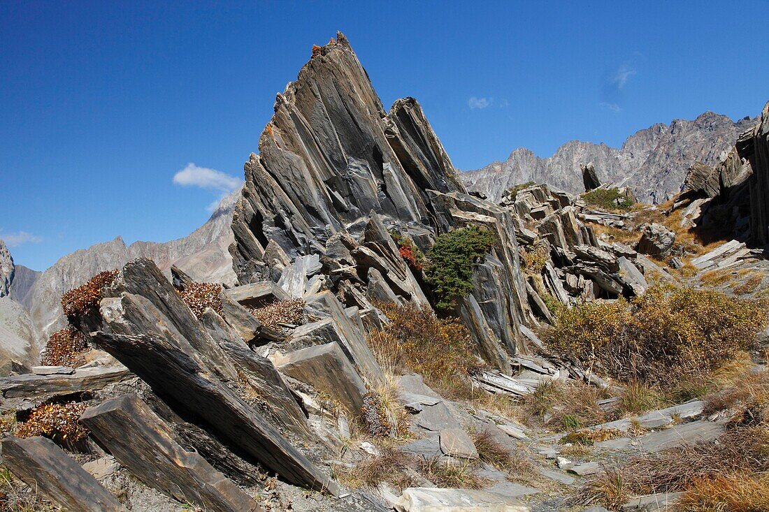 Frankreich, Isere, Valjouffrey, Nationalpark Ecrins, Haut Beranger Tal, entlang des Weges zum Cote Belle Pass