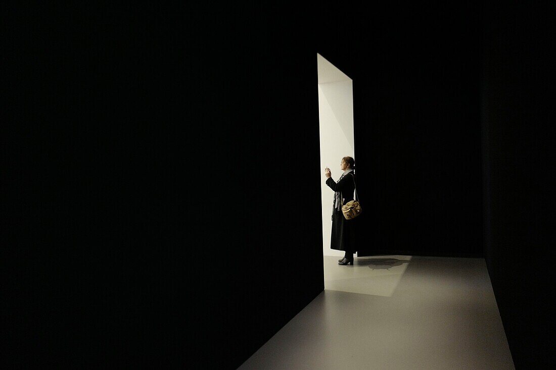 Frankreich, Paris, Fondation Cartier pour l'art contemporain, Ausstellung 2017