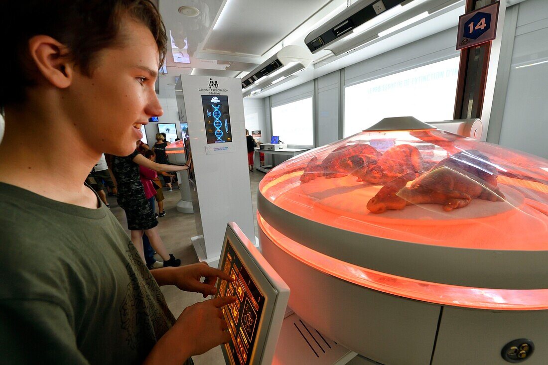 France, Seine Saint Denis, Saint Denis, cite du cinéma, Jurassic World exhibition (MR-YM)