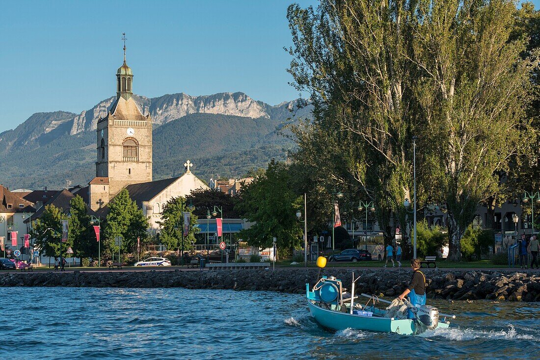 Frankreich, Haute Savoie, Evian les Bains, ein Berufsfischer in einem Boot, nimmt die Netze von feras in der Nähe des Ufers des Leman-Sees, die Kirche und die Felsen der Memises