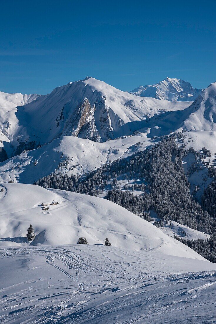 France, Haute Savoie, Aravis massif, Manigod, hiking at Mont Sulens, from the summit overlooking the Mouilles, Massif de l'Etale and Mont Blanc