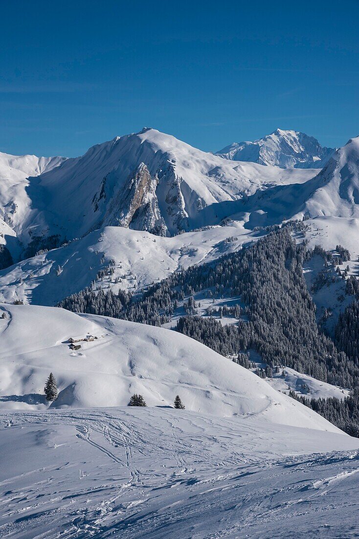 Frankreich, Haute Savoie, Aravis-Massiv, Manigod, Wanderung am Mont Sulens, vom Gipfel mit Blick auf die Mouilles, Massif de l'Etale und Mont Blanc