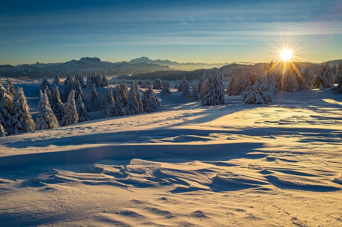 Frankreich, Haute Savoie, massive Bauges, oberhalb von Annecy Grenze zur Savoie, das Semnoz Plateau außergewöhnlicher Aussichtspunkt auf die Nordalpen, Sonnenaufgang auf vom Wind geformtem Schnee