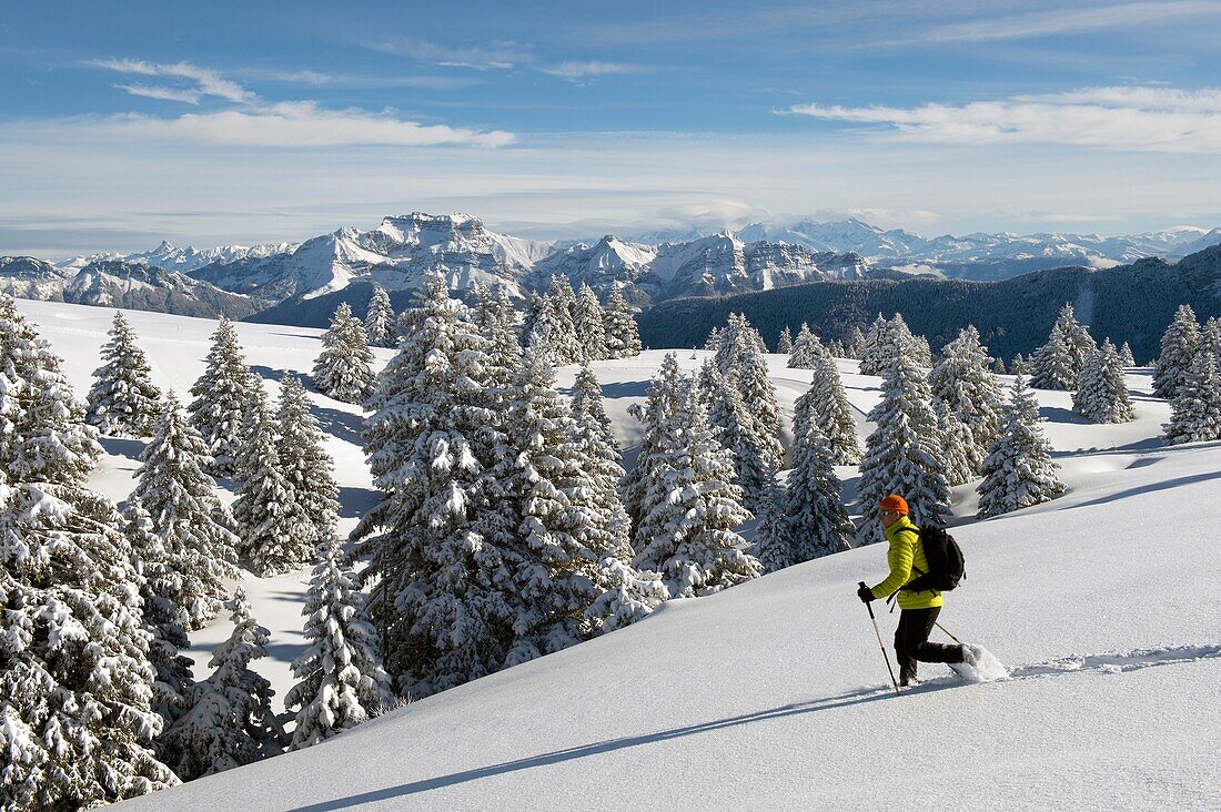 Frankreich, Haute Savoie, Massif des Bauges, Schneeschuhwanderung auf der Hochebene von Semnoz oberhalb von Annecy und das Bornes-Massiv mit dem Tournette-Berg