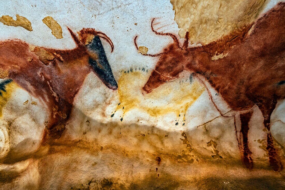 Frankreich, Dordogne, Schwarzes Perigord, Vezere-Tal, prähistorische Stätte und verzierte Höhle, die von der UNESCO zum Weltkulturerbe erklärt wurde, Montignac-sur-Vezere, Höhle von Lascaux IV, Internationales Zentrum für Parietalkunst, Faksimile-Ausstellungsraum