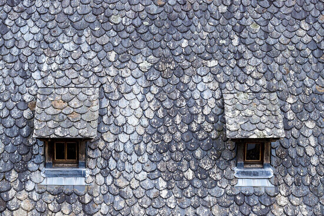 France, Cantal, regional natural park volcanoes of Auvergne, country of Salers, Tournemire, labeled the Most Beautiful Villages of France, typical roofs of lauze or slate