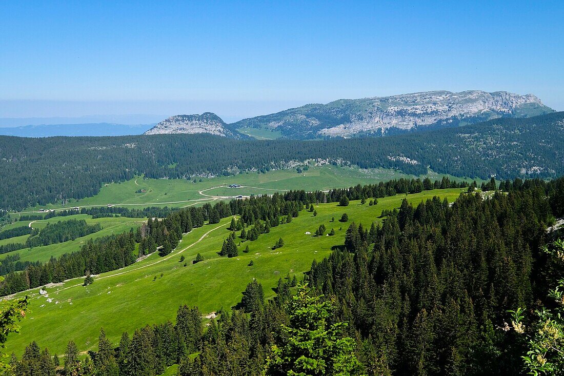 France, Haute Savoie, Le Petit-Bornand-les-Glières, view on the Glières plateau from the Ovine pass