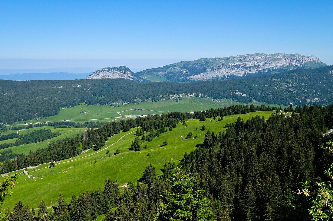 Frankreich, Haute Savoie, Le Petit-Bornand-les-Glières, Blick auf das Glières-Plateau vom Ovine-Pass aus