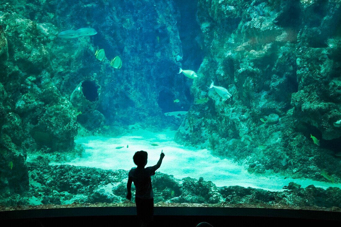 France, Finistere, Brest, Oceanopolis, Sea Museum