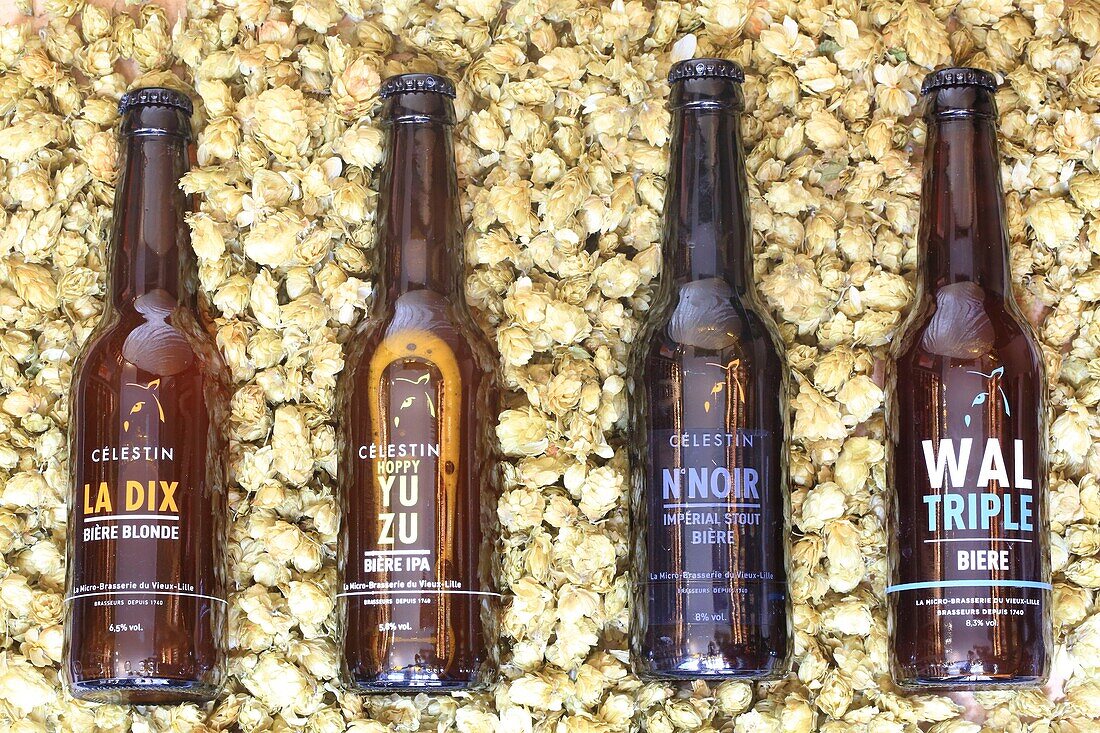 France, Nord, Lille, Vieux Lille, Jean Jacques Rousseau street, micro brewery Celestin, the 4 beers produced on site (blonde, IPA, Imperial Stout and Triple) on a regional hop bed