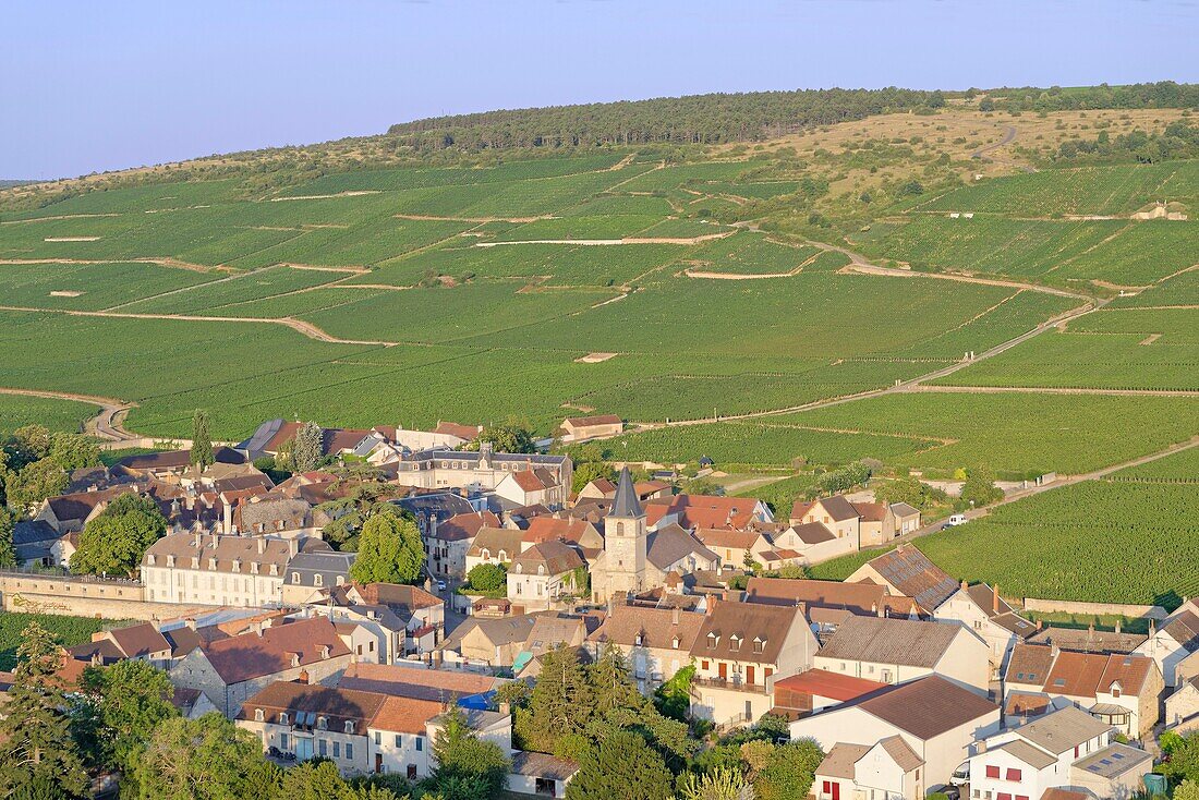 France, Cote d'Or, Cote de Nuits, Vosne Romanee, vineyard Romanee Conti (Aerial view)