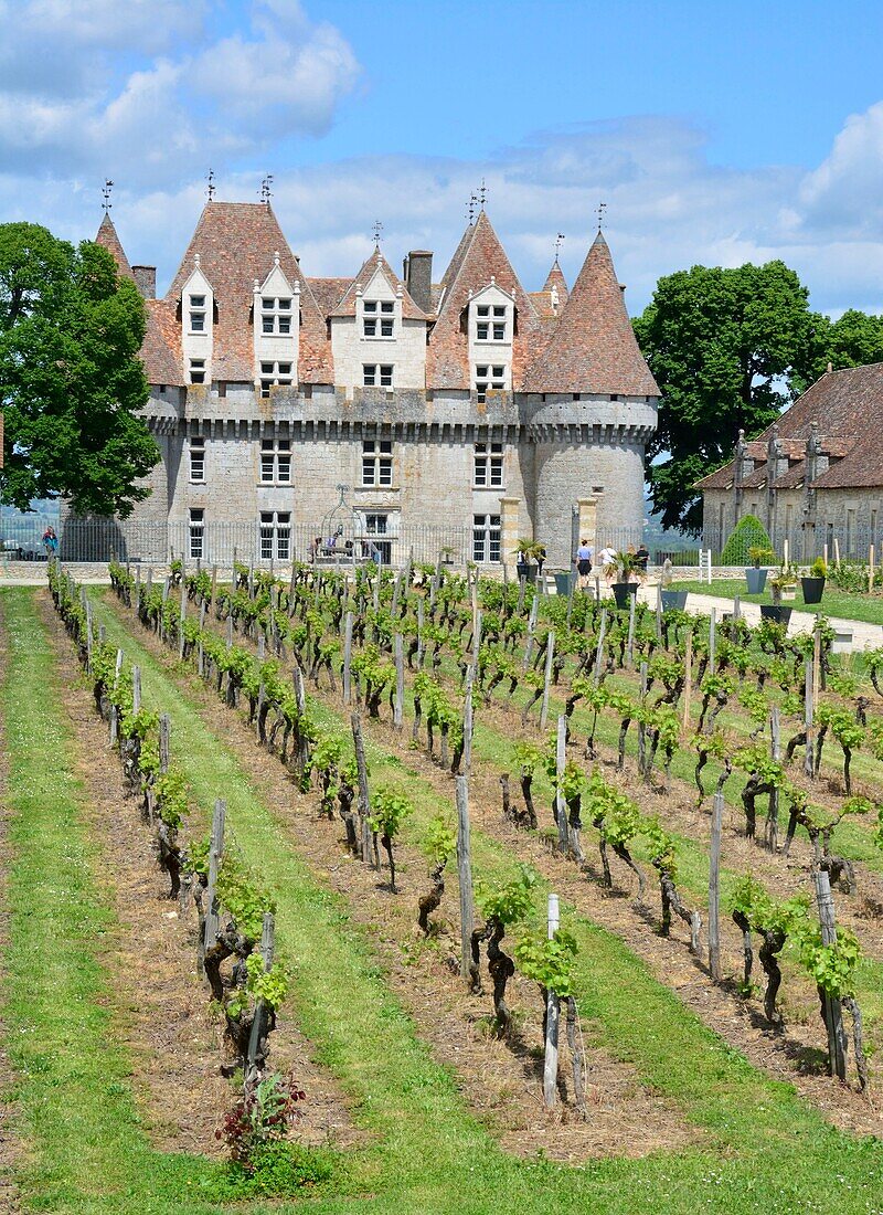 France, Dordogne, Purple Perigord, the castle of Monbazillac where a famous sweet wine is produced