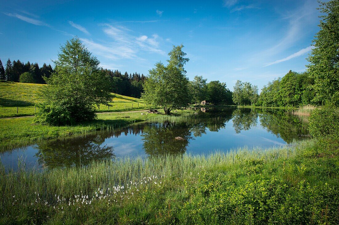 Frankreich, Haute Saone, Melisey, les milles etangs, Teich der Juge