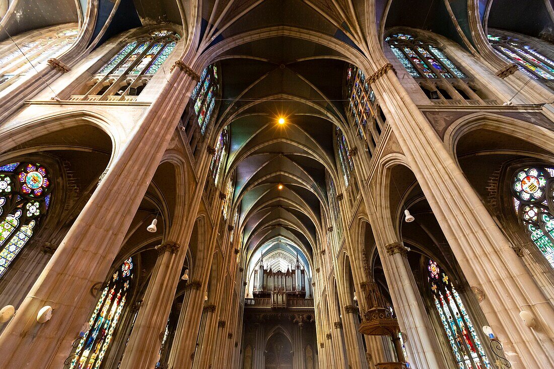 Frankreich, Meurthe et Moselle, Nancy, neugotische Basilika Saint Epvre de Nancy, erbaut im 19. Jahrhundert aus Steinen aus Euville, das Kirchenschiff und die Orgel