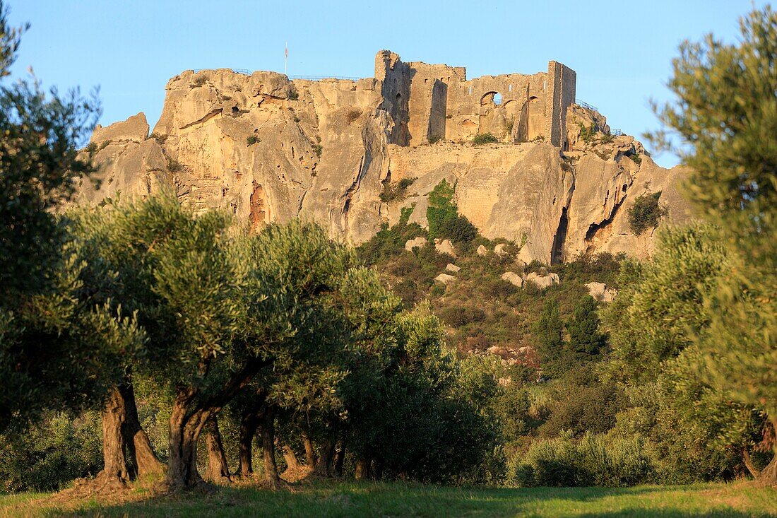 Frankreich, Bouches du Rhone, regionaler Naturpark der Alpilles, Les Baux de Provence, bezeichnet als die schönsten Dörfer Frankreichs, das Schloss in Ruinen (XIe)