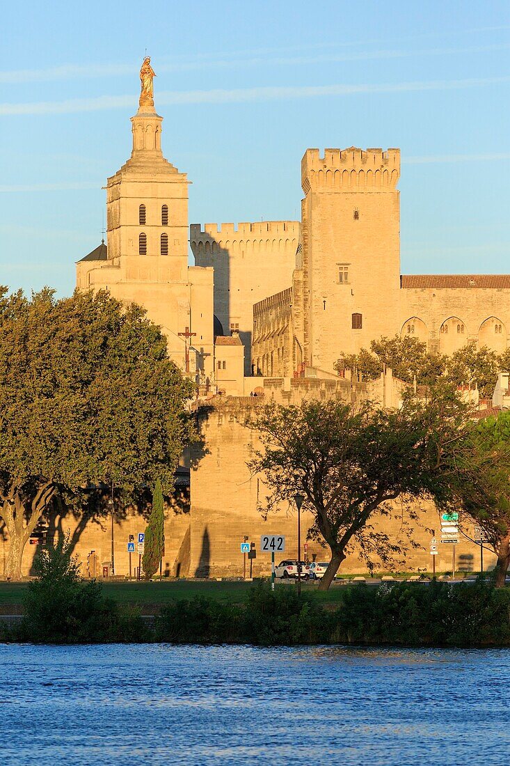 Frankreich, Vaucluse, Avignon, die Kathedrale der Doms (12. Jh.) und der Palast der Päpste (14. Jh.), von der UNESCO zum Weltkulturerbe erklärt, die Rhone