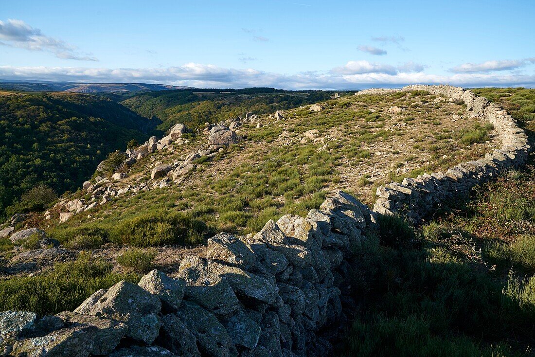 France, Lozere, Prevencheres, Hameau de la Beyssieres, Cevennes National Park, landscape on the belvedere Gorges du Chassezac