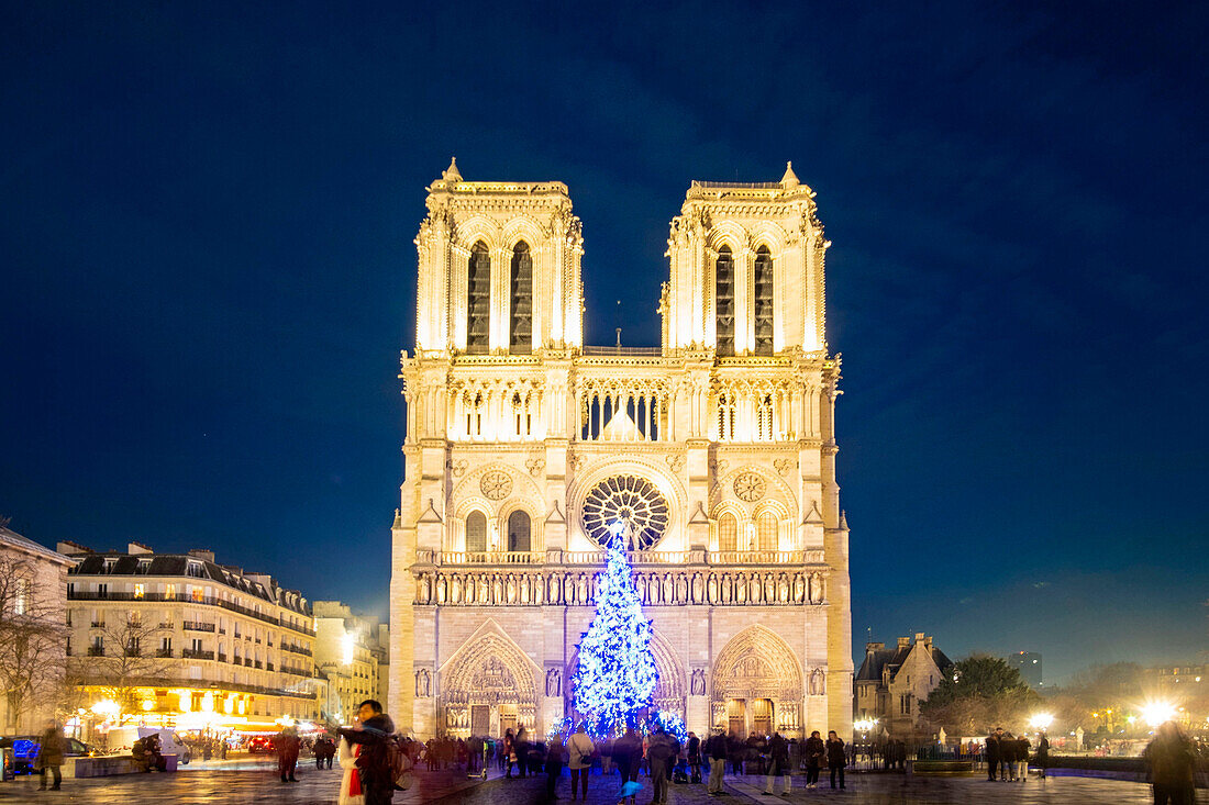 Frankreich, Paris, von der UNESCO zum Weltkulturerbe erklärtes Gebiet, Ile de la Cite, Kathedrale Notre Dame