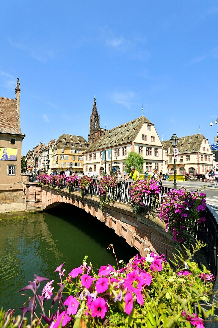 France, Bas Rhin, Strasbourg, old city listed as World Heritage by UNESCO, pont du Corbeau, Historical museum of Strasbourg and Cathedral