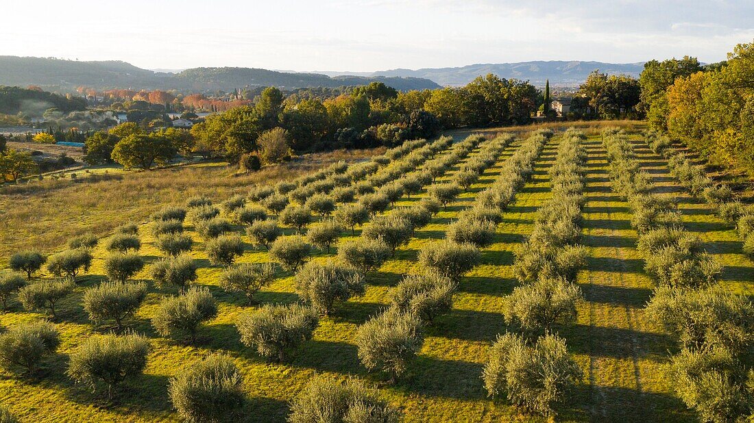 France, Vaucluse, Luberon Regional Nature Park, Lourmarin (aerial view)