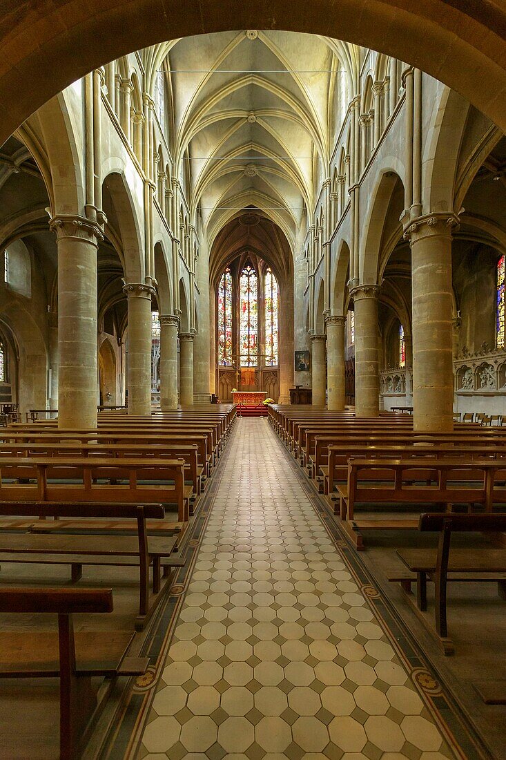 Frankreich, Moselle, Metz, Kirche Saint-Martin aus dem 12. Jahrhundert, das Kirchenschiff und der Chor von der Vorhalle aus gesehen, Glasfenster von Meister Laurent Charles Marechal, Leiter der Metzer Schule für Glasmalerei im Jahr 1881