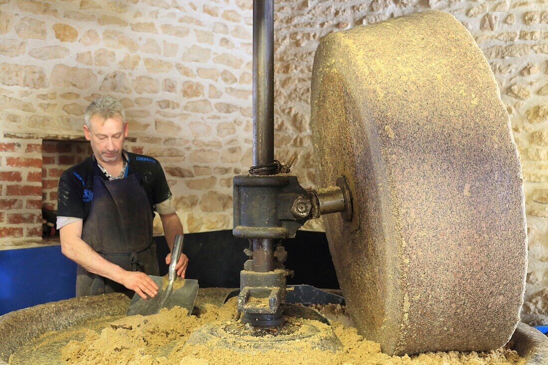 Frankreich, Saone et Loire, Iguerande, Ölmühle J.Leblanc (1878), Herstellung von Walnussöl mit einem Steinrad