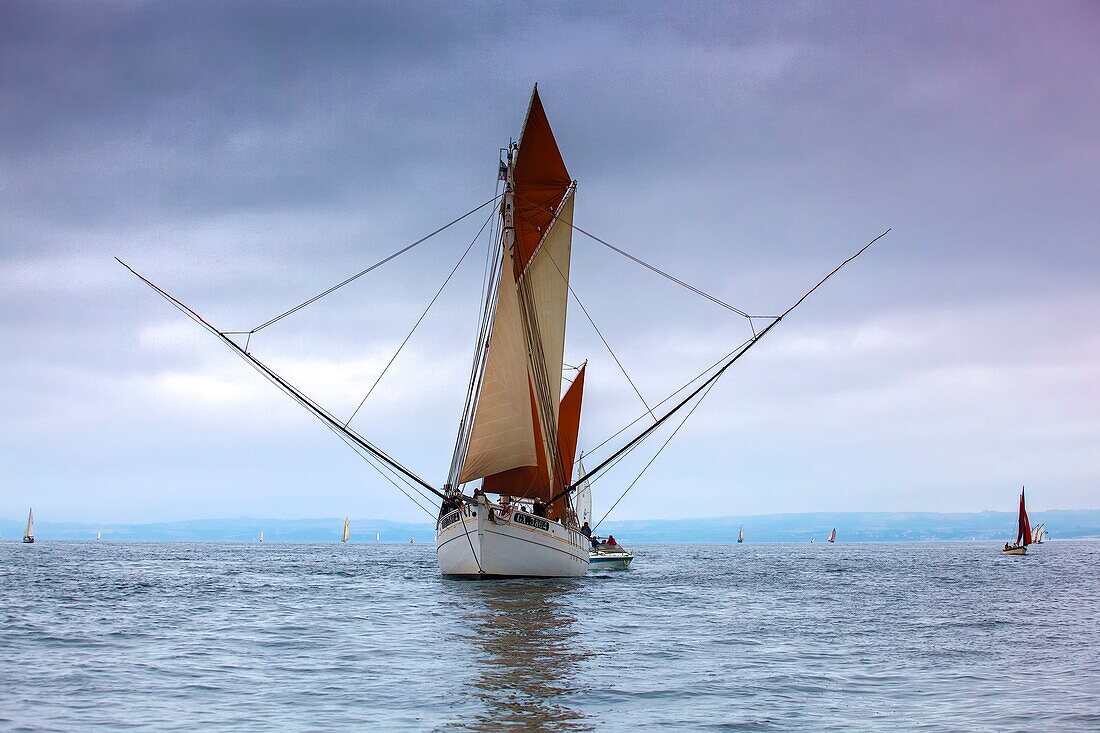 France, Finistere, Douarnenez, Festival Maritime Temps Fête, Biche, traditional sailboat on the port of Rosmeur