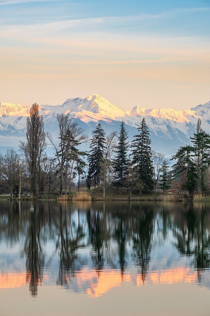 France, Savoie, Les Marches, Lake Saint André in the heart of the Combe de Savoie vineyards, Belledonne range covered with snow in the background