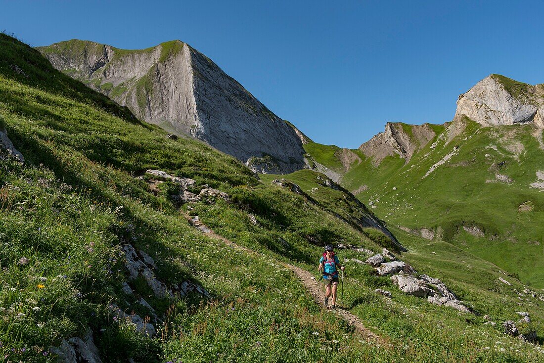 Frankreich, Haute Savoie, Aravis-Massiv, Manigod, Wanderung am Charvin-See, der See und die Nordwand des Mont Charvin