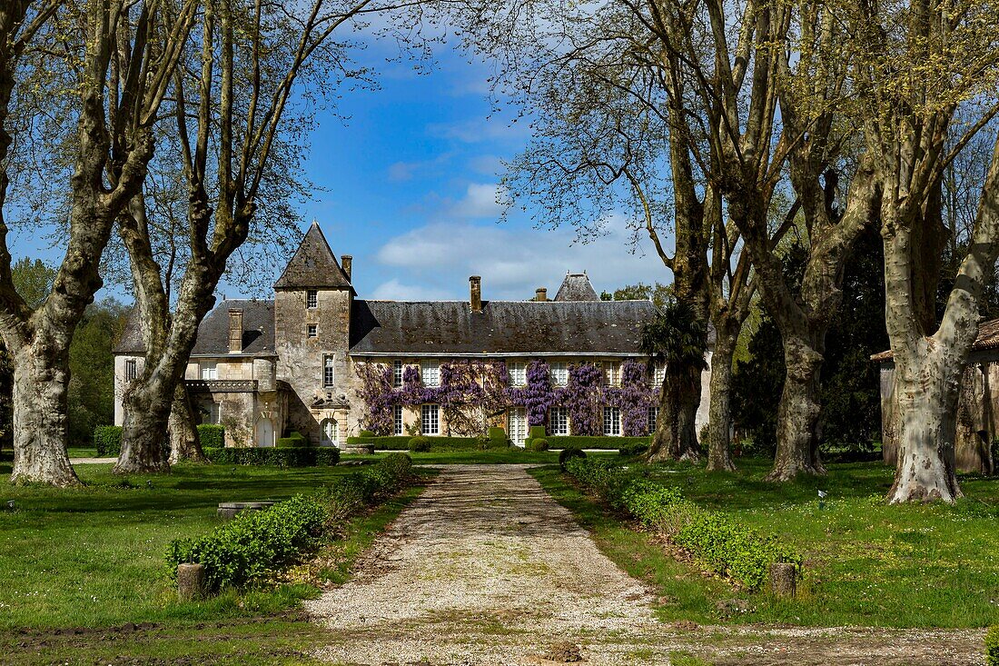 France, Gironde, Bassin d'Arcachon, Le Teich, Ruat Castle, 15th and 19th century, additional inventory of Historic Monuments