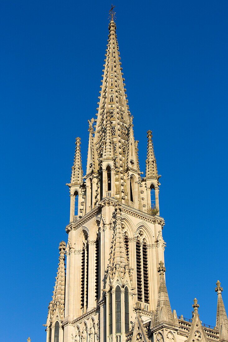 France, Meurthe et Moselle, Nancy, Neo Gothic Saint Epvre of nancy basilica built during the 19th century of stones from Euville