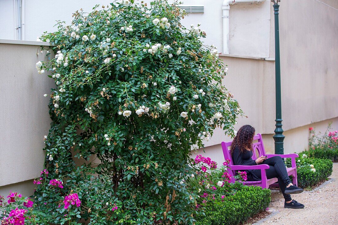 Frankreich, Hauts de Seine, Puteaux, Garten Passage des Roses