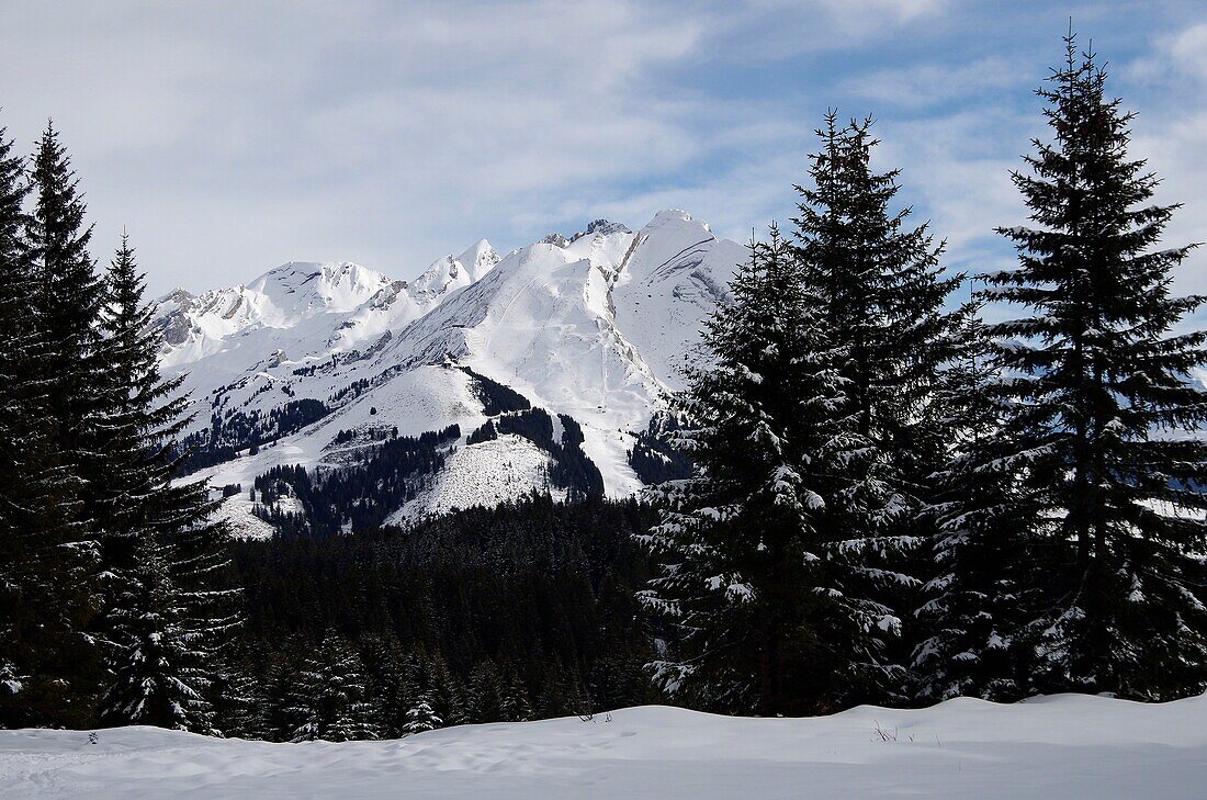 France, Haute Savoie (74), Manigod La Clusaz, Alpes, Aravis Mountain