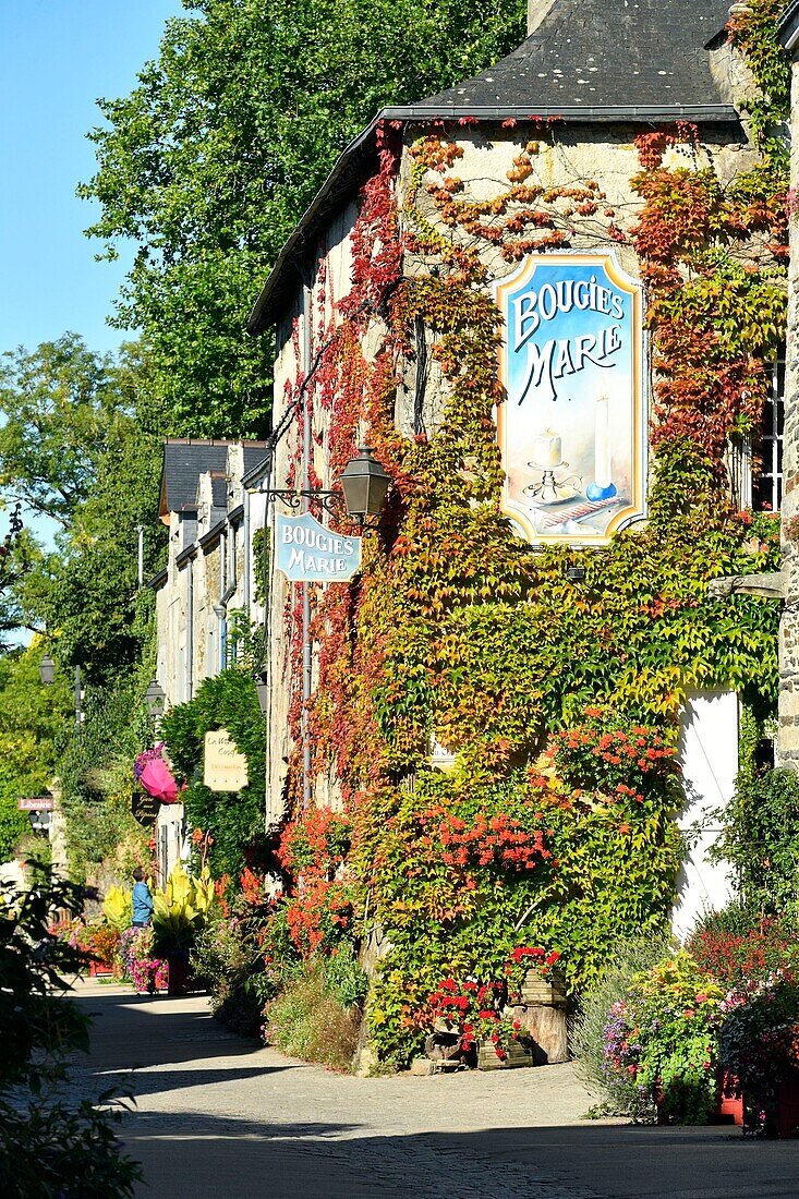France, Morbihan, Rochefort en Terre, labelled les plus beaux villages de France (The Most Beautiful Villages of France), Rue du Château