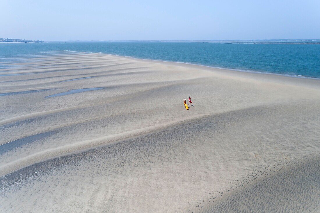 France, Gironde, Bassin d'Arcachon, sandbank at low tide along the Teychan channel (aerial view)