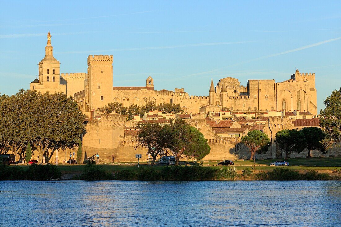 Frankreich, Vaucluse, Avignon, die Kathedrale der Doms (12. Jh.) und der Palast der Päpste (14. Jh.), von der UNESCO zum Weltkulturerbe erklärt, Die Rhone