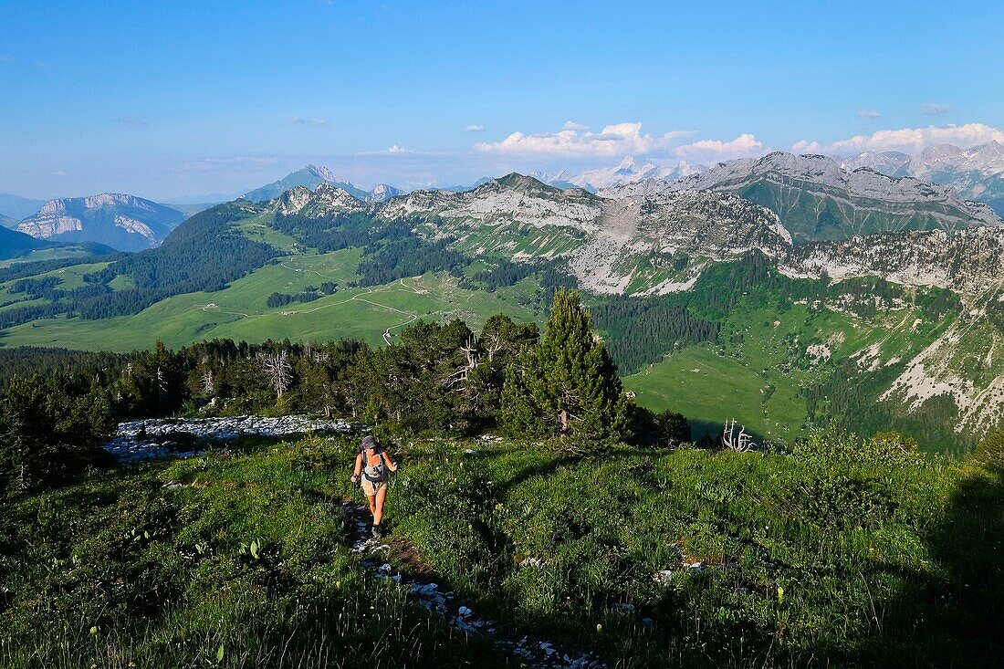 Frankreich, Haute Savoie, Le La Balme de Thuy, Blick auf die Glières-Hochebene von Tête Noire aus