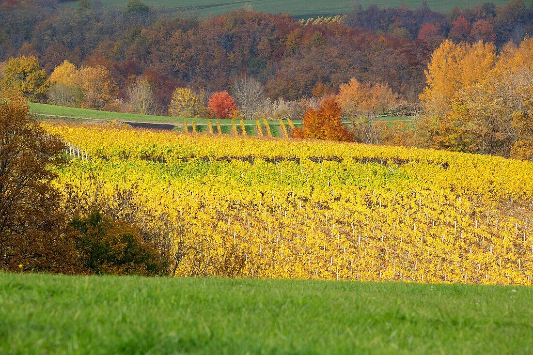 Frankreich, Ain, Seyssel