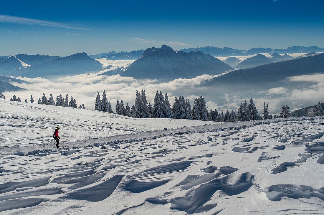 France, Haute Savoie, massive Bauges, above Annecy in border with the Savoie, the Semnoz plateau exceptional belvedere on the Northern Alps, cross country ski trails south of the plateau and sea of clouds