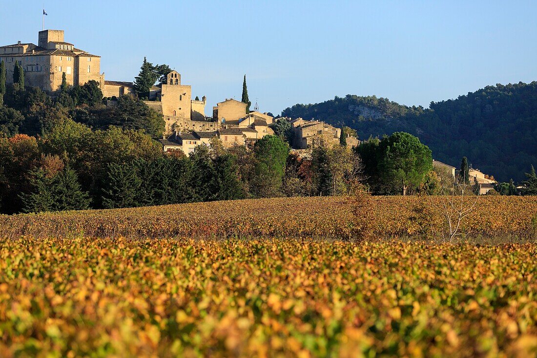 France, Vaucluse, regional natural park of Luberon, Ansouis, labeled the Most Beautiful Villages of France