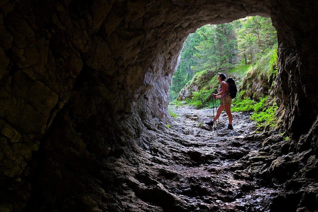 France, Haute Savoie, Thorens-Glières, tunnel, close to the Pas du Roc stairs