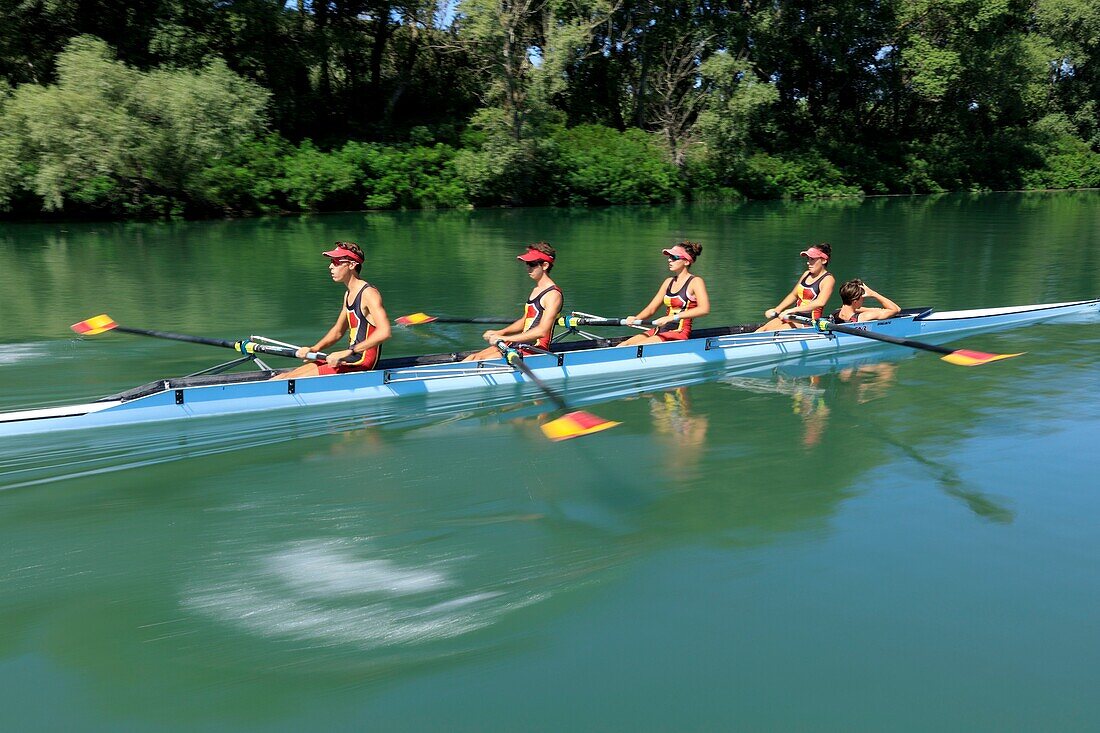 Frankreich, Gard, Beaucaire, Ruderer auf der Rhone