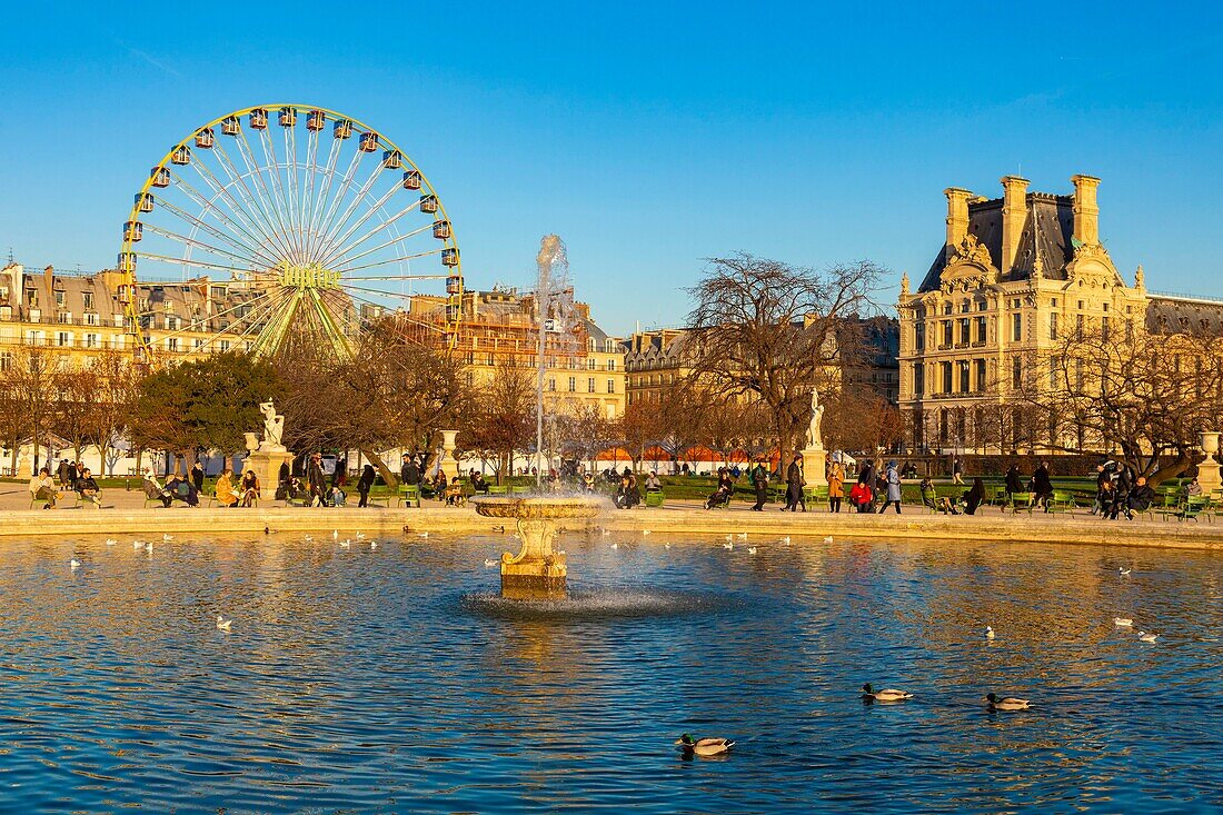 France, Paris, Tuileries Garden in Winter, Octagonal Pool and Christmas Grand Wheel