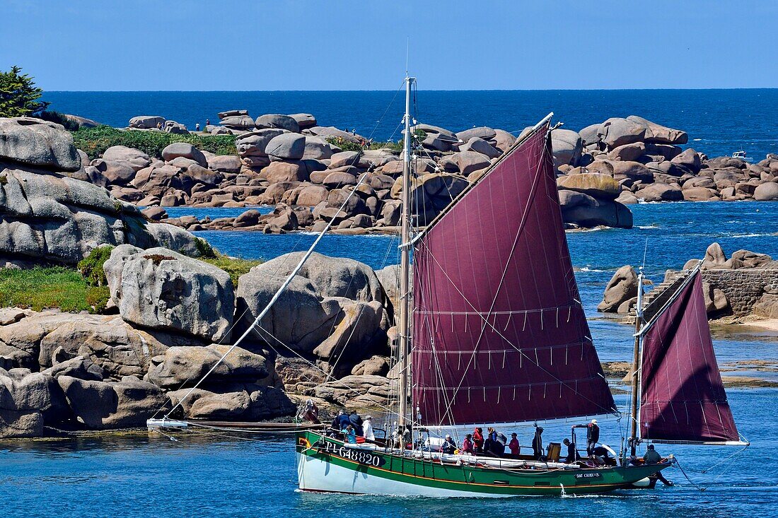 France, Cotes d'Armor, old rigging sailing along the pink granite coast