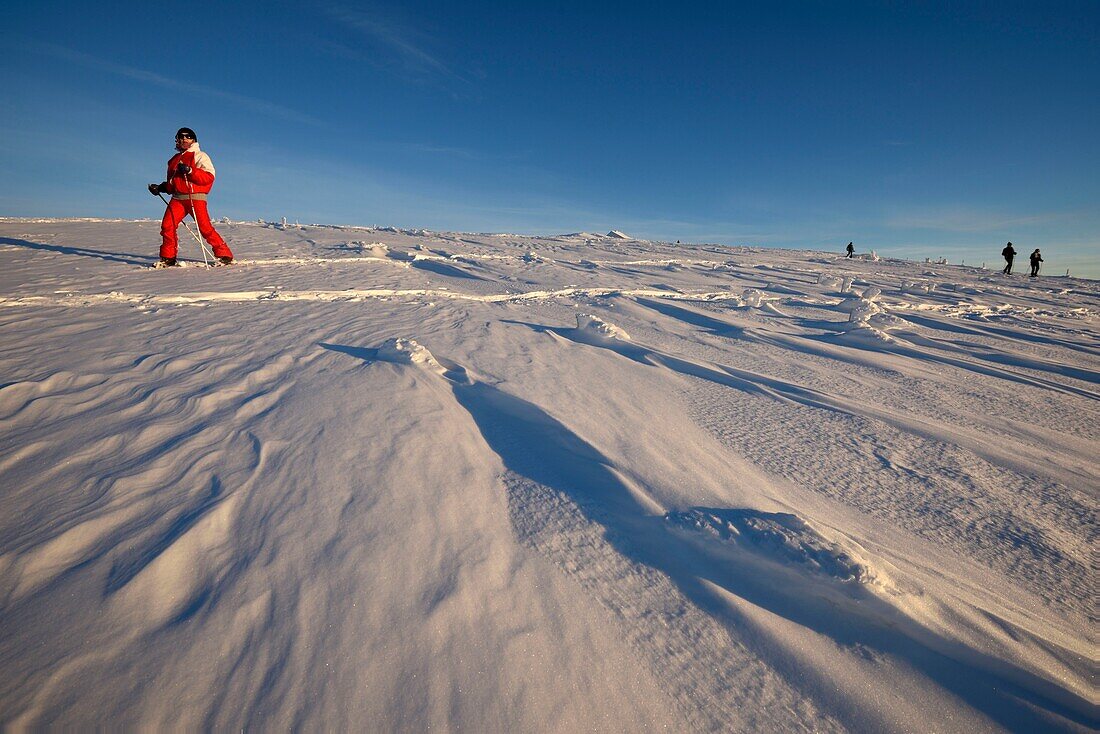 France, Haut Rhin, Hautes Vosges, Le Hohneck (1363 m), summit, snowshoe hike, sunset, winter, snow